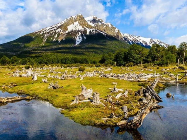 EXPLORANDO LA PATAGONIA - Puerto Madryn - El Calafate - Ushuaia